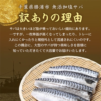 【訳あり】勝浦市の人気の海鮮お礼品 無添加 塩サバ 3.5kg【配送不可地域：離島】【1240161】