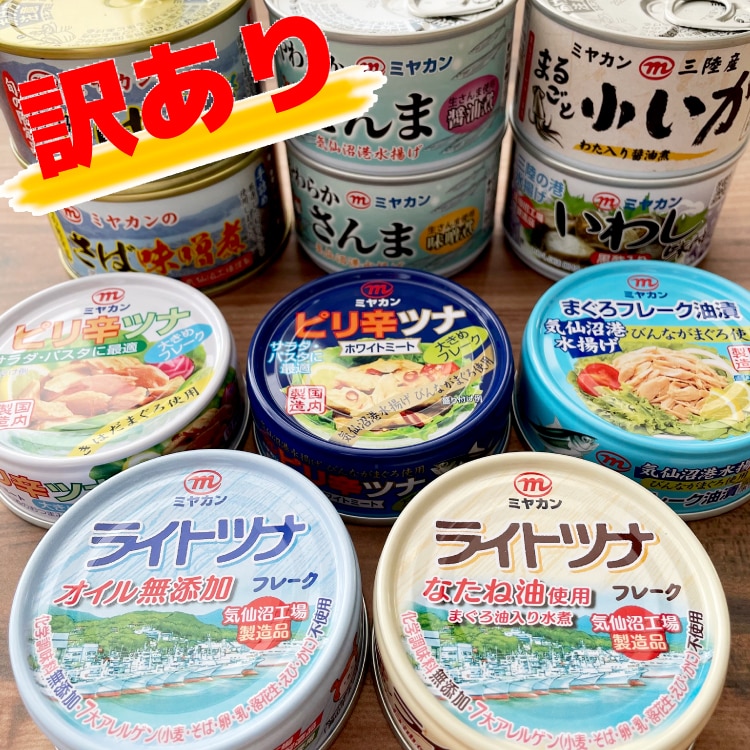 訳あり】 お任せ缶詰バラエティセット 10缶 缶詰 ツナ缶 さば缶 さんま