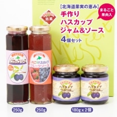 【北海道果実の恵み】まるごと果肉入　手作りハスカップジャム&ソース　計4個セット【1227875】