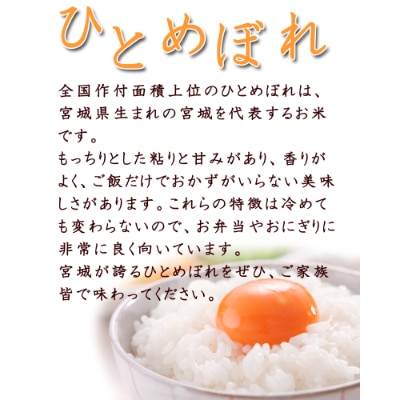 令和4年産　宮城県登米市産　食べ比べセット10kg(ひとめぼれ・つや姫 精米 各5kg)【1261122】