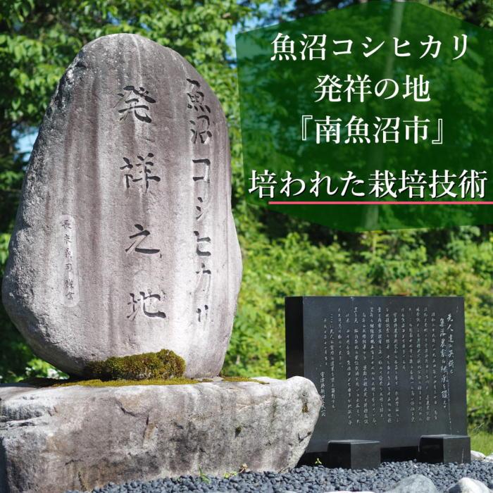 愛媛県西条市　西条産のお米「コシヒカリ」（10kg）　ふるさと納税　その他食品