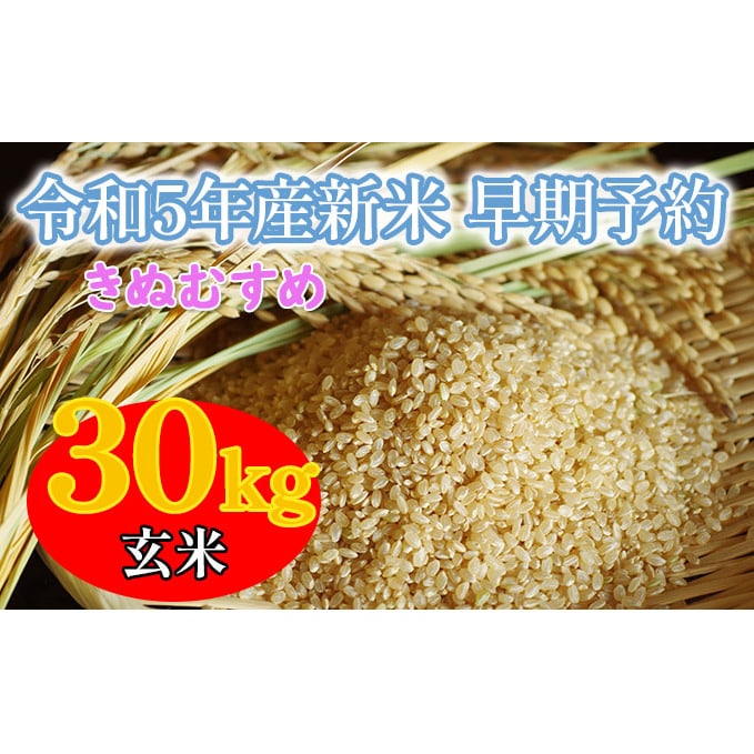 お米 令和元年産 きぬむすめ 30キロ玄米