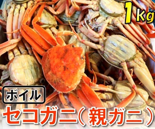 かに　鳥取　1117【魚倉】ボイルお任せセコガニ1kgセット　蟹-