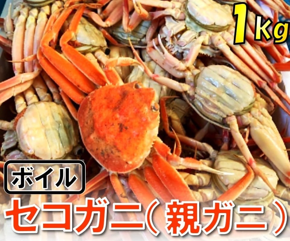 かに　鳥取　1117【魚倉】ボイルお任せセコガニ1kgセット　蟹-