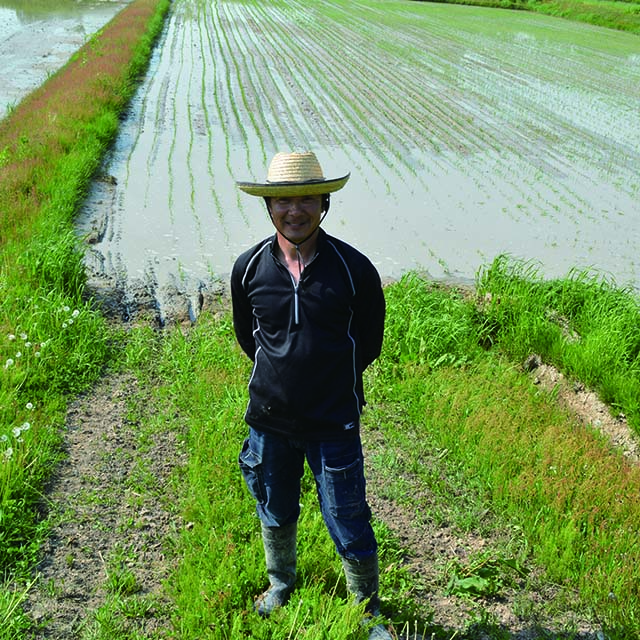 Vivaマルシェ 北海道剣淵産精白米ゆめぴりか５ｋｇ 送料込 お取り寄せきっぷ Jre Pointが 貯まる 使える Jre Mall