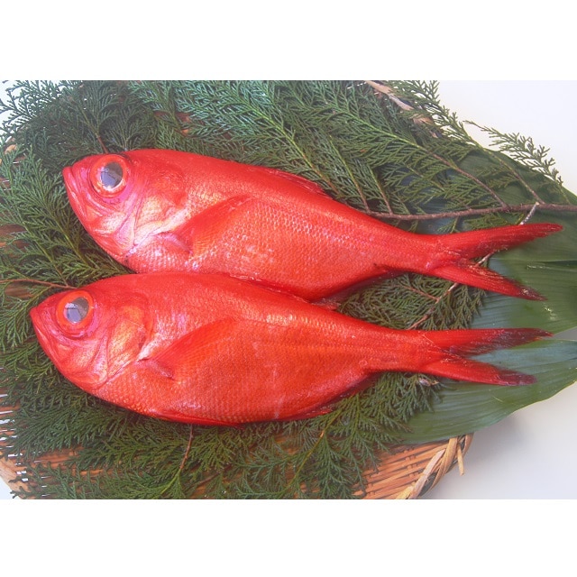 静岡 下田の金目鯛を満喫する静岡産金目鯛のしゃぶしゃぶセット送料無料 Japan Select 22 22敬老の日 お取り寄せきっぷ Jre Pointが 貯まる 使える Jre Mall