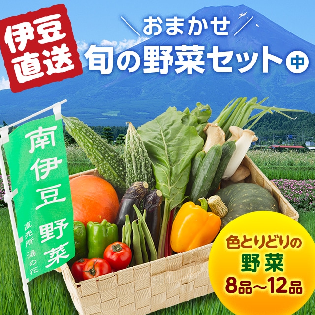 【静岡】旬の野菜セット（中）送料無料【JAPAN SELECT 2022】