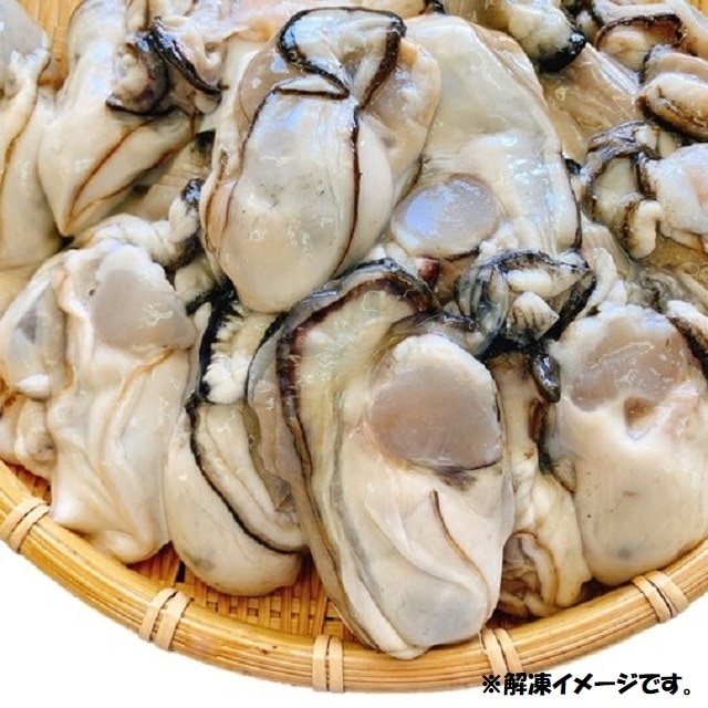北海道知内産牡蠣（加熱用）　１ｋｇ　送料無料＜2022夏グルメ＞