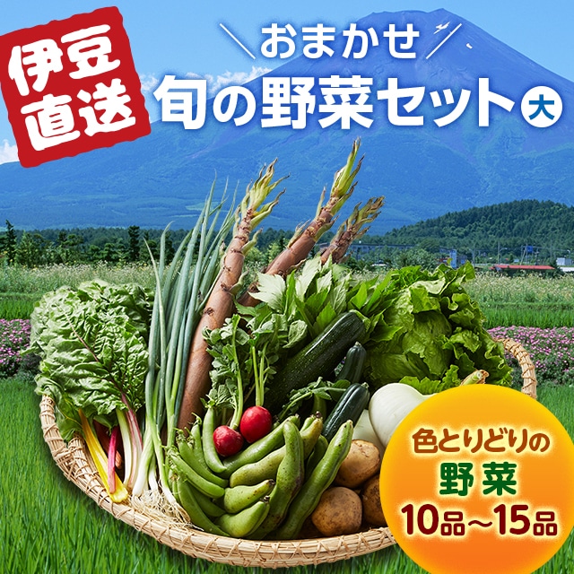 【静岡】旬の野菜セット（大）送料無料【JAPAN SELECT 2022】