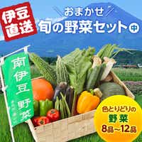 南伊豆湯の花直送 旬の野菜セット（中） 送料無料【伊豆産直市】