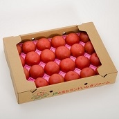 【東北】JRとまとランドいわきファーム/ワンダーファーム　サンシャイントマト　４ｋｇ箱