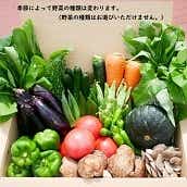 【山梨】山梨県産　旬な朝採り野菜（７品以上）セット　送料無料【2022やまなし】