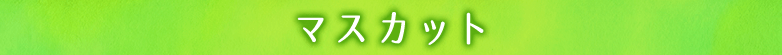 マスカット