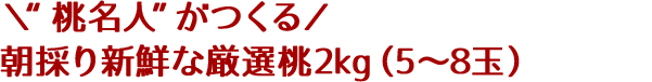 \“桃名人”がつくる/朝採り新鮮な厳選桃2kg(5〜8玉)