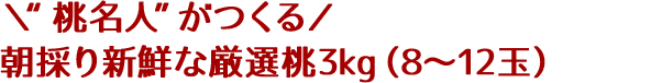 \“桃名人”がつくる/朝採り新鮮な厳選桃3kg(8〜12玉)