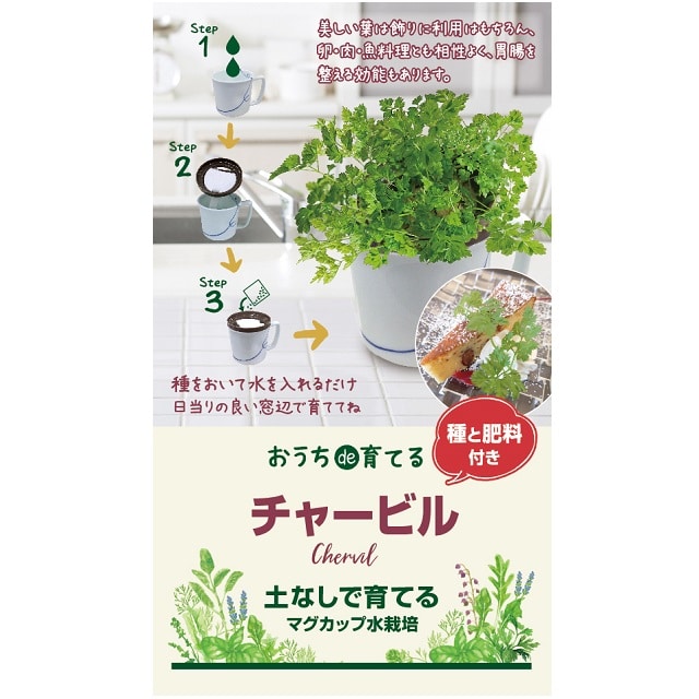 マグカップ水栽培 野菜とハーブ ハーブだけセット４種8個セット チャービル 2 カモミール 2 イタリアンパセリ 2 スイートバジル 2 送料込 22新生活 暮らしなでしこ Jre Pointが 貯まる 使える Jre Mall