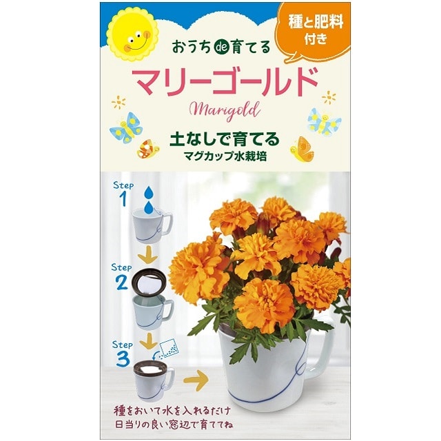 マグカップ水栽培 お花 ６種セット ビオラ ミニひまわり ミニけいとう マリーゴールド ワイルドストロベリー ロベリア 送料無料 暮らしなでしこ Jre Mall