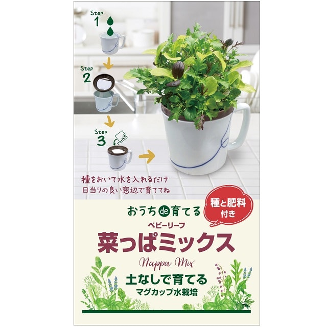 マグカップ水栽培 野菜とハーブ 6種セット チャービル カモミール イタリアンパセリ スイートバジル ベビーリーフレタスミックス 葉っぱミックス 送料無料 暮らしなでしこ Jre Mall
