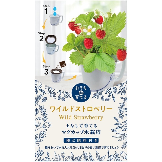 マグカップ水栽培 お花 ワイルドストロベリー3個セット 送料無料 暮らしなでしこ Jre Mall
