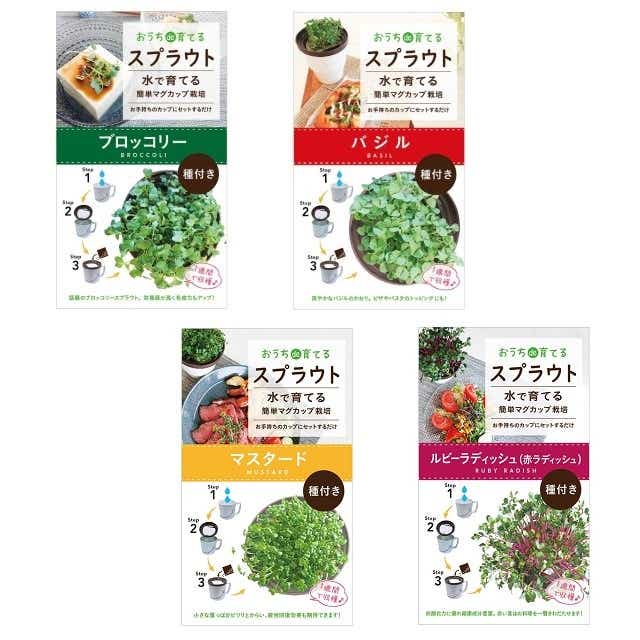 マグカップ水栽培 スプラウト 4種セット ブロッコリー バジル ルビーラディッシュ マスタード 送料込 暮らしなでしこ Jre Pointが 貯まる 使える Jre Mall