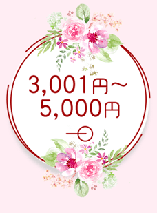 3001`5000~