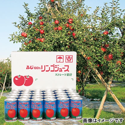 【送料込み】【長野県】ふじ１００％りんごジュース　１６０ｇ缶