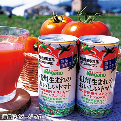 【送料込み】信州生まれのおいしいトマト食塩無添加　３０本
