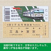 【185-A】国鉄１８５系踊り子４号（忙）　復刻特急券　三島→東京