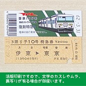 【185-A】国鉄１８５系踊り子１０号（忙）　復刻特急券　伊東→東京