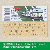 【185-A】国鉄１８５系踊り子１８号（忙）　復刻特急券　伊東→東京