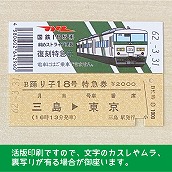 【185-A】国鉄１８５系踊り子１８号（忙）　復刻特急券　三島→東京