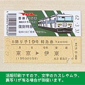 【185-A】国鉄１８５系踊り子１９号（忙）　復刻特急券　東京→伊東