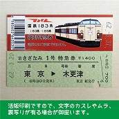 【183-A】国鉄１８３系さざなみ１号　復刻特急券　東京→木更津