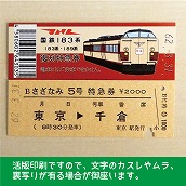 【183-A】国鉄１８３系さざなみ５号（忙）　復刻特急券　東京→千倉