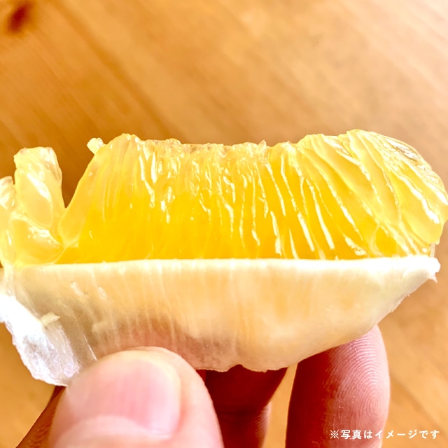 期間限定 柑橘好き必見 旬の美味しさ食べ比べ 4月のいろどりくだもの ルミネセレクト くだもの6種類詰め合わせ 送料込 税込 Lumine Agri Marche Jre Pointが 貯まる 使える Jre Mall