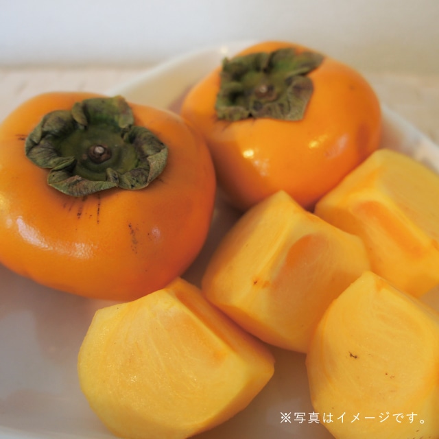 たっぷり増量 トロピカルフルーツで夏を先取り 石垣島産パインが入った 5月のいろどりくだもの ルミネセレクト くだもの詰め合わせ 送料込 税込 Lumine Agri Marche Jre Pointが 貯まる 使える Jre Mall