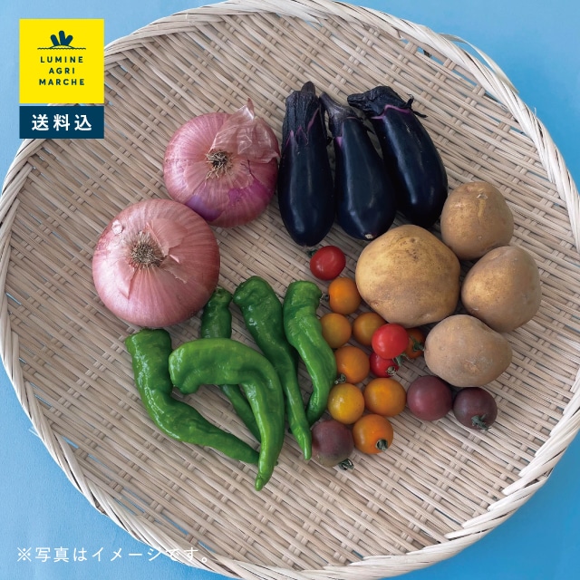 有機農業で有名な埼玉県小川町の「風の丘ファーム　季節のお野菜セット（4〜5種）」送料込・税込