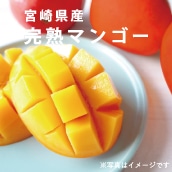 【数量限定！夏ギフト】トロける宮崎県産完熟マンゴー3Lサイズ （送料込・税込）