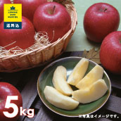 【送料込】山形県産　無袋栽培でのびのび育った小玉ふじリンゴ 5kg（24玉）