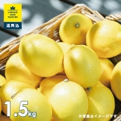 【送料込】貴重な広島県「稲角農園」のレモン（ノンワックス）税込
