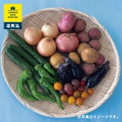 有機農業で有名な埼玉県小川町の「風の丘ファーム　季節のお野菜セット（9〜10種）」送料込・税込