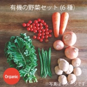 大田市場の目利きがセレクト　有機の野菜セット(6種）（送料込・税込）