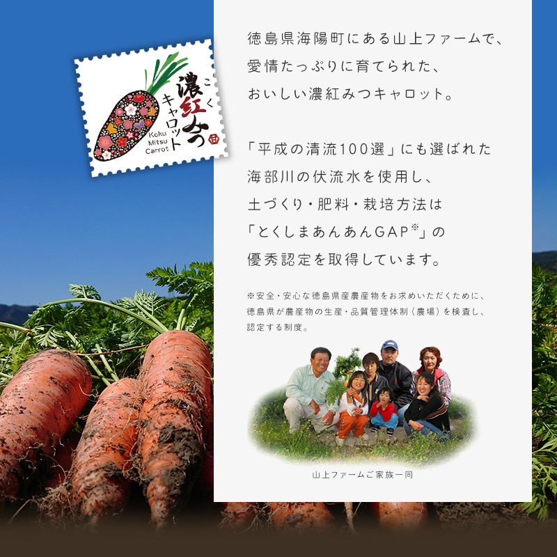 ボタラボキャロット gzerosolucoes.com.br