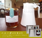 [2箱セット]蜂和産業 ハニーポットセット（グアテマラ産コーヒーはちみつ300g×2）　送料無料（一部地域除く）