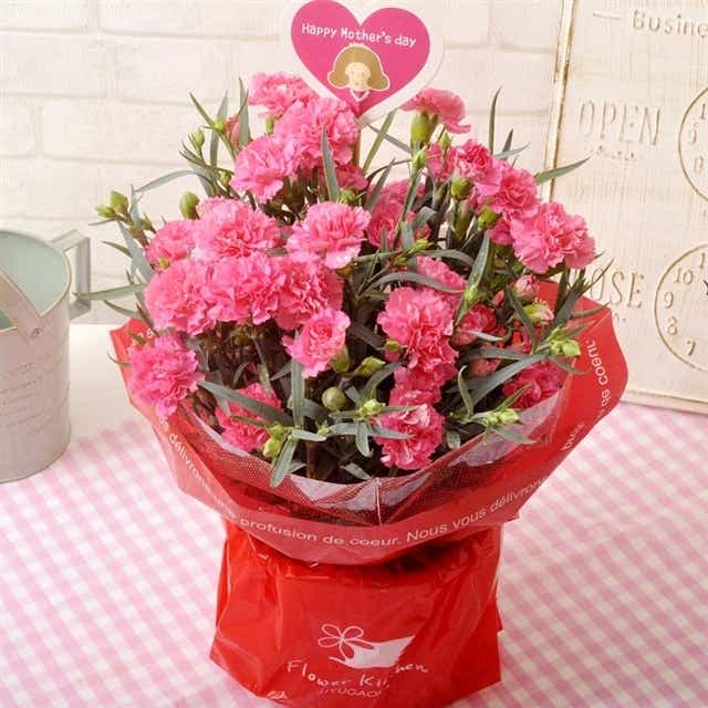 母の日のプレゼント 60代向け「ピンクカーネーションの花鉢」