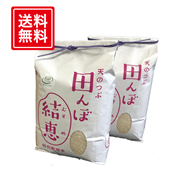 ◇お米10kg（天のつぶ）特別栽培米（玄米） 〈あだたらの里直売所〉