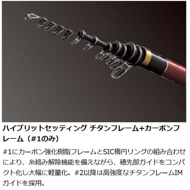 がまかつ がま磯 デニオス 1号 5.3m: 釣具のキャスティング JRE