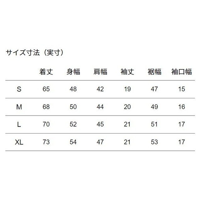 ノースフェイス 20SS ショートスリーブ66カリフォルニアTシャツ NT32085 W(ホワイト) Lサイズ: 釣具の
