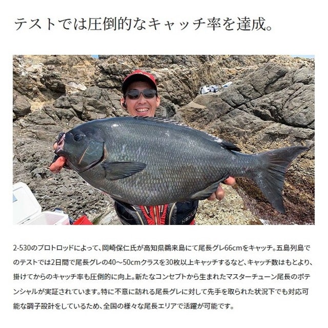 シマノ 磯竿 23マスターチューン 尾長 1.7-500: 釣具のキャスティング