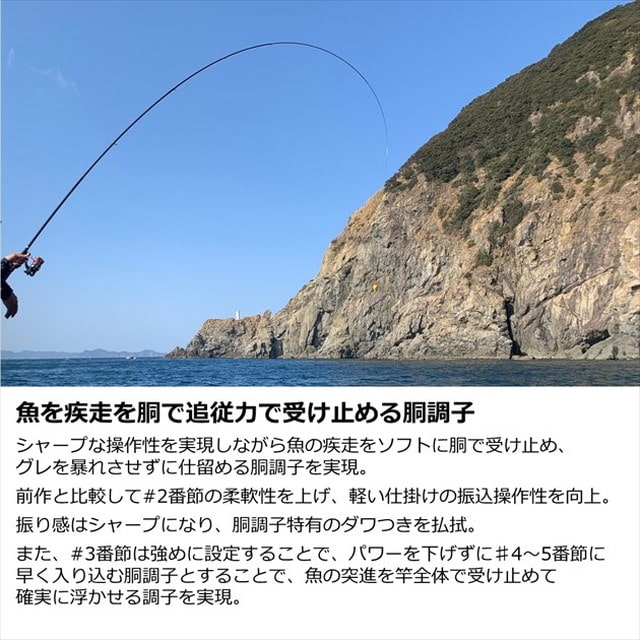 ダイワ 磯竿 メガディス AGS 1-53・N (5ピース): 釣具のキャスティング